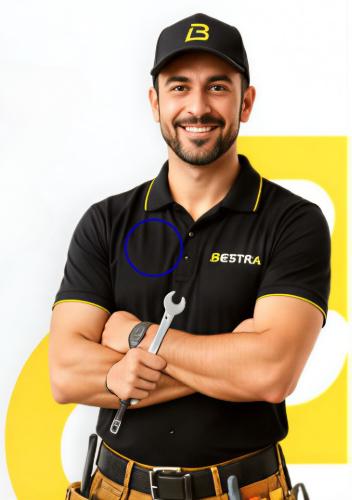 Professional Service